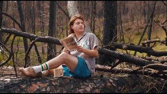 雪崩王子,冰封王座的传奇崛起