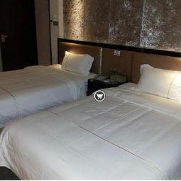 柏拉图酒店,探寻古希腊哲学的神秘之旅