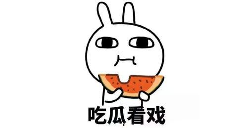 有吃瓜群吗